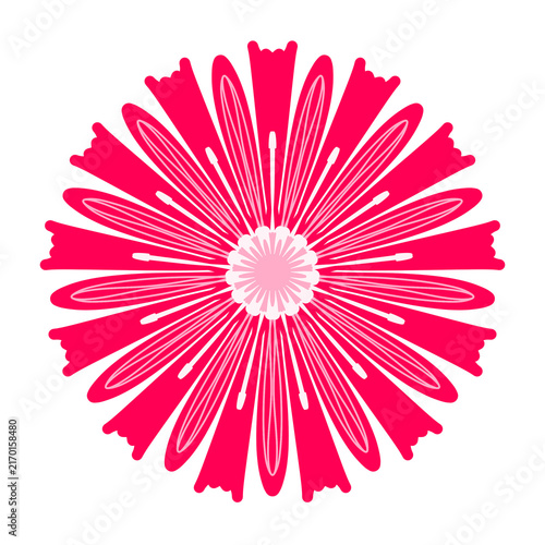 Canvastavla pink gerber daisy vector ilustration