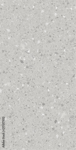 Light Gray Terrazzo Surface for Bathroom Walls, Flooring and Minimalist Interior Design