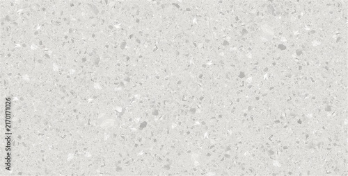 Light Gray Terrazzo Texture for Interior Walls, Flooring and Modern Residential Design