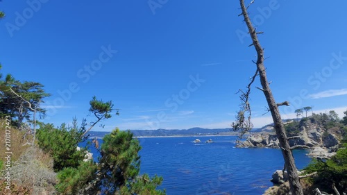 View of Point Lobos, California,
