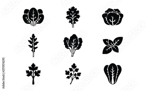 Set of nine black silhouette representing various leafy greens