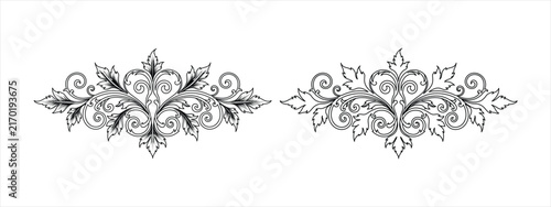 Black and White Floral Ornament Vector Illustration with Vintage Flowers, Leaves, Swirls, Decorative Frame, Border and Elegant Botanical Design Elements
