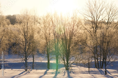 Fotografie Backlit rime ice trees sparkling over a snowfield in winter, Hokkaido, Japan