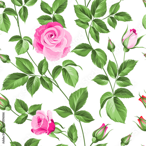 Seamless floral pattern with pink roses and green leaves on white background