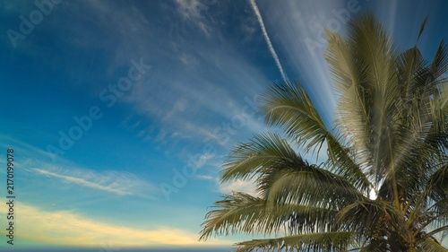 Foto Tropical Coconut Palm Tree Leaves Against Blue Sky with Sun Rays and Wispy Cloud