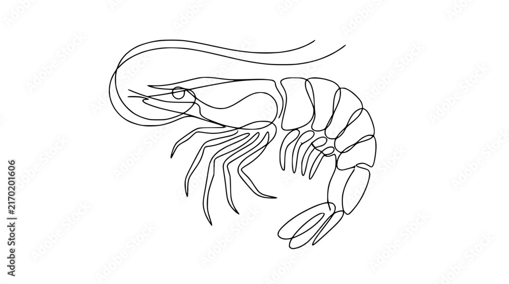 Fototapeta premium Single Line Drawing Shrimp Isolated on Transparent Background Minimalist Seafood Icon