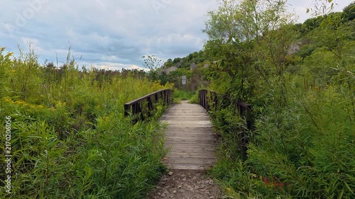 Scarborough bluffs are seen at the end of the trail and foot bridge with wildflowers and plants along the path