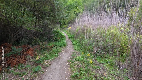 Hiking trail through trees and wetlands in Bluffer's Park, Scarborough, Toronto, Ontario, Canada