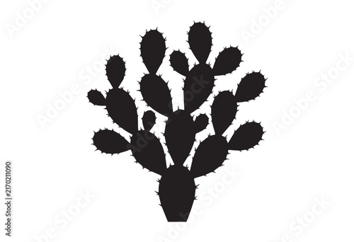 Desert cactus silhouette.