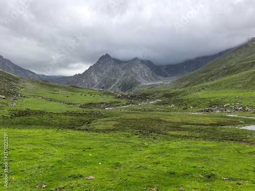 mountain landscape in the mountains