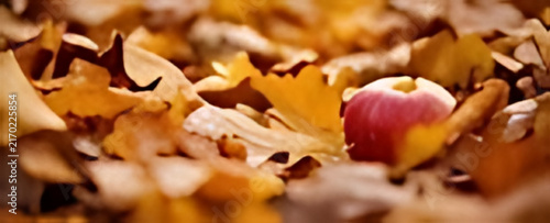 Shallow depth autumn leaves and red apple close up copy space for harvest festival poster and fresh food