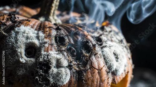 Cinematic 4K Macro Shot of a Spooky Decaying Moldy Pumpkin with Eerie Smoke Rising from Rotting Holes in Darkness