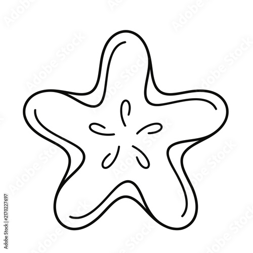 Star Fruit Slice Outline