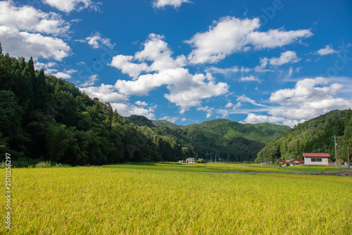 里山と田園風景