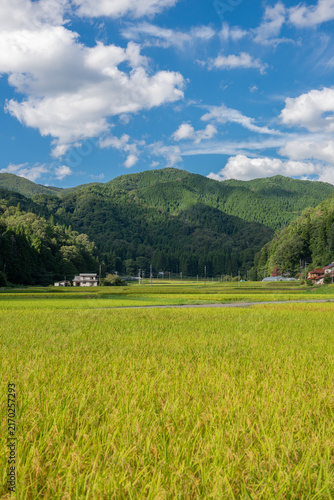 里山と田園風景