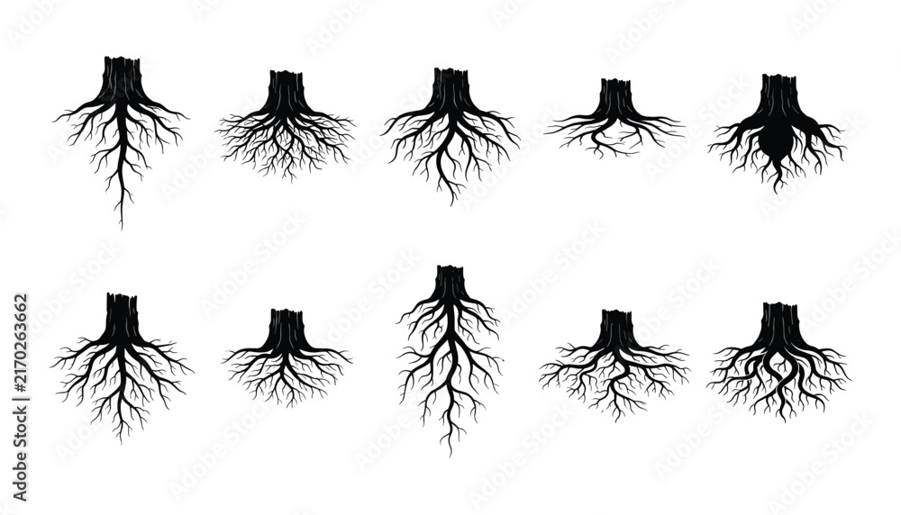 Fototapeta premium Black Silhouette Tree Root and Stump Vector Set Featuring Branching Underground Taproots and Fibrous Root Systems for Botany and Landscape Graphic Designs