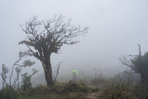 Hiker Exploring a Foggy Mountain Trail in Vietnam