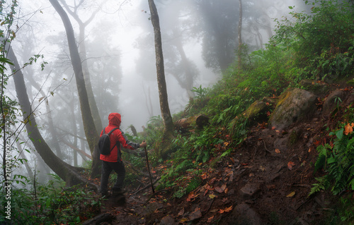Hiker Trekking Through a Misty Mountain Forest in Vietnam