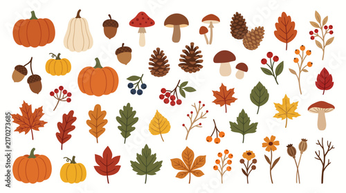Natural seamless pattern with autumn fallen leaves of forest trees on white background