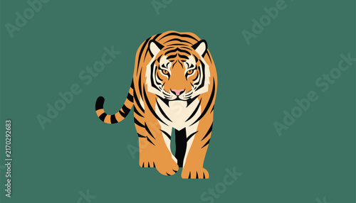 Beautiful tiger walking forward gracefully on a clean dark green background, showcasing its powerful stature and classic striped pattern.