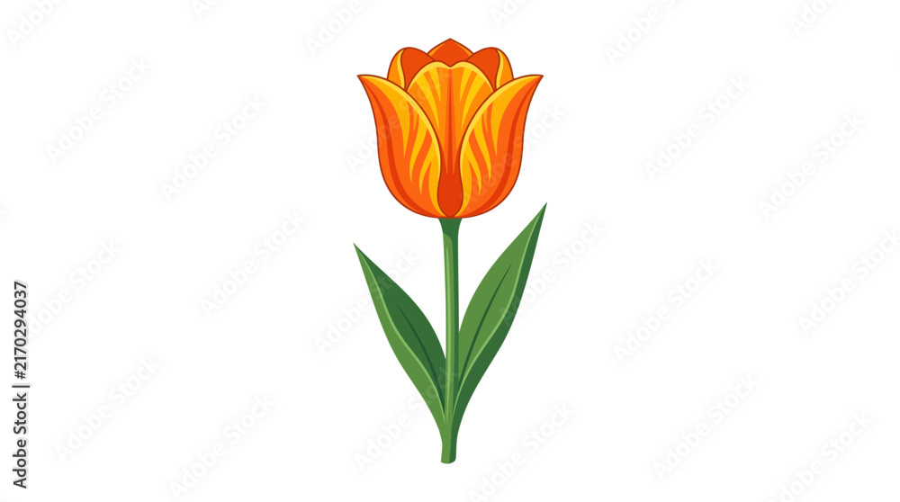 Obraz premium Orange Tulip Flower Vector Illustration