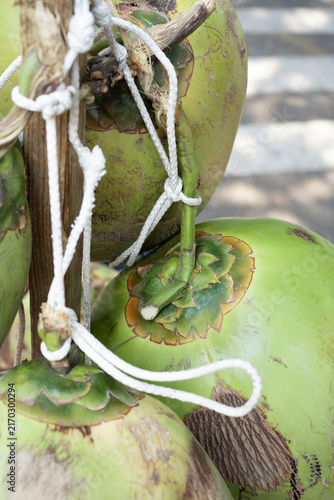 A closeup of a green coconut in the husk