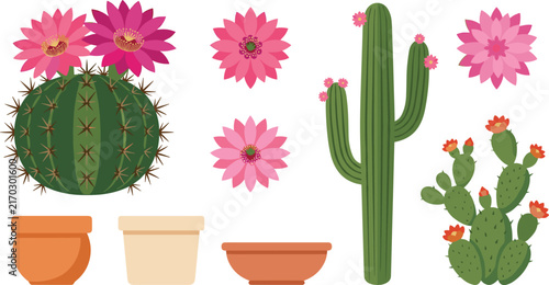 Quadro su tela Blooming cactus vector set with pink flowers terracotta clay pots saguaro and pr