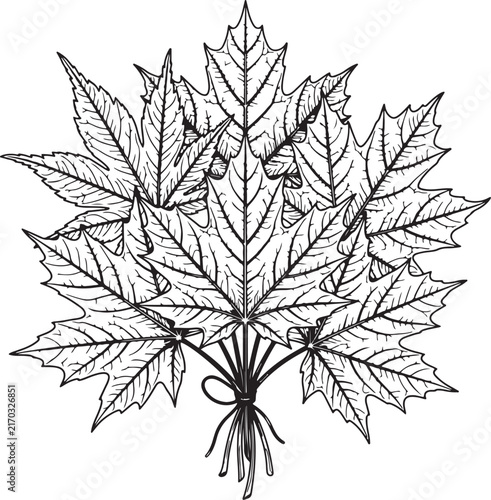 black and white flower