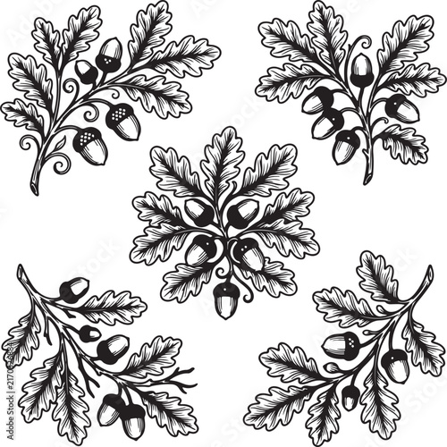 set of floral elements