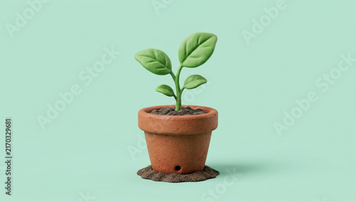Small green plant growing in terracotta pot.