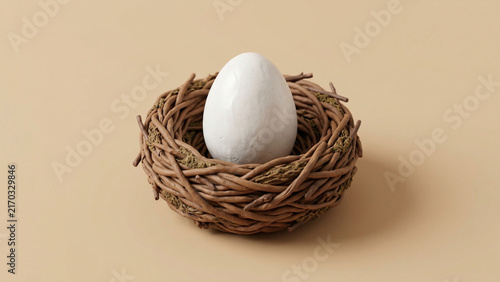 White egg carefully placed in a woven bird nest.