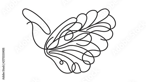 Elegant peacock feather illustration white background.