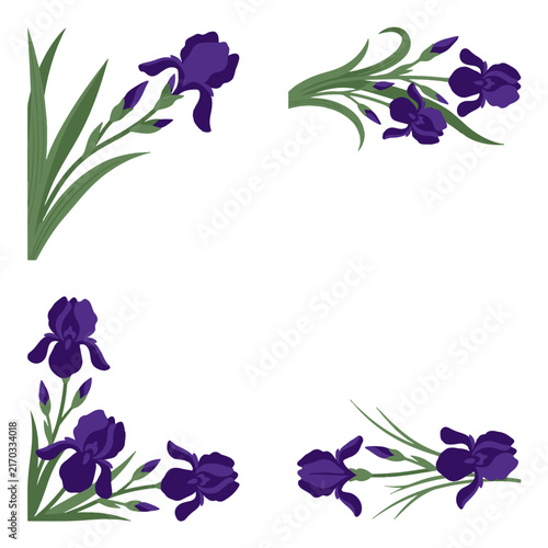 Purple Iris Flower Corner Borders And Floral Decorative Elements Isolated On White