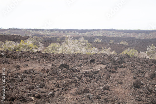Fotografía Hardened lava flow scattered with pioneer scrub under an open sky