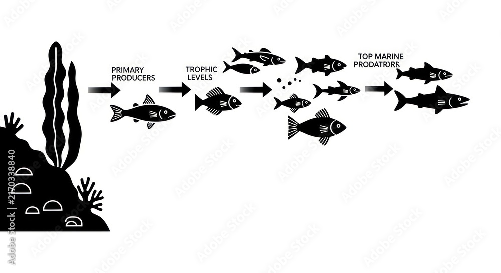 Fototapeta premium Fish Food Chain Diagram Illustration.