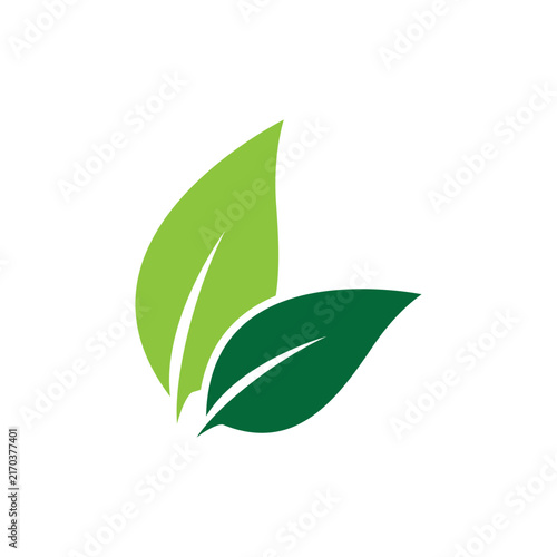 Minimalist Green Leaf Vector Illustration
