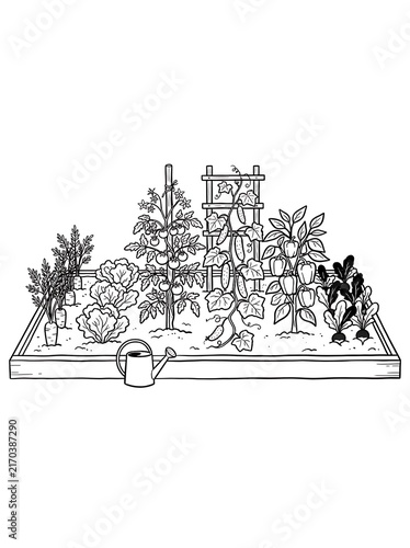 Raised garden bed line art coloring illustration with watering can and assorted growing vegetables for gardening hobby lovers.