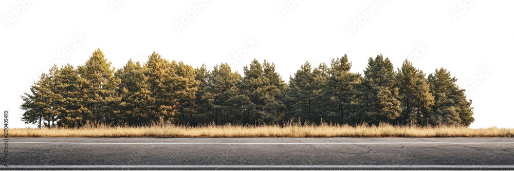 Obraz premium PNG Real asphalt road trees landscape outdoors.