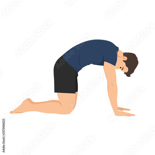 Man Performing Cat yoga pose. Marjaryasana. Flat vector illustration isolated on white background