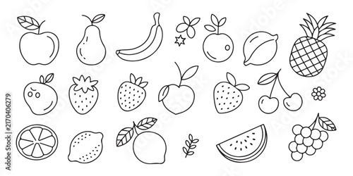 Collection of hand-drawn fruit icons in a simple linear style for graphic design and healthy eating concepts.