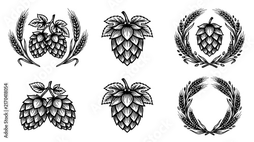 Hops set with botanical illustrations featuring hop cones, wheat stalks, laurel leaves with vintage style and black and white design