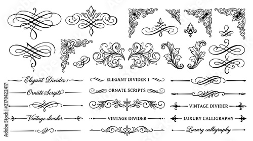 Elegant Calligraphic Divider Set with Ornate Scripts Vintage Borders and Luxury Flourish Vector Illustration Collection
