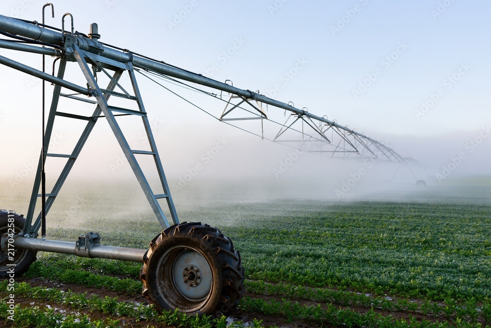 Obraz premium The center-pivot irrigation system slicing through a misty farm field
