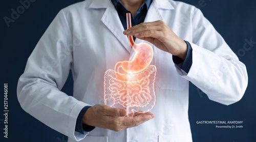 Doctor holding glowing holographic projection of human gastrointestinal anatomy including stomach and intestines, illustrating digestive system health, medical education