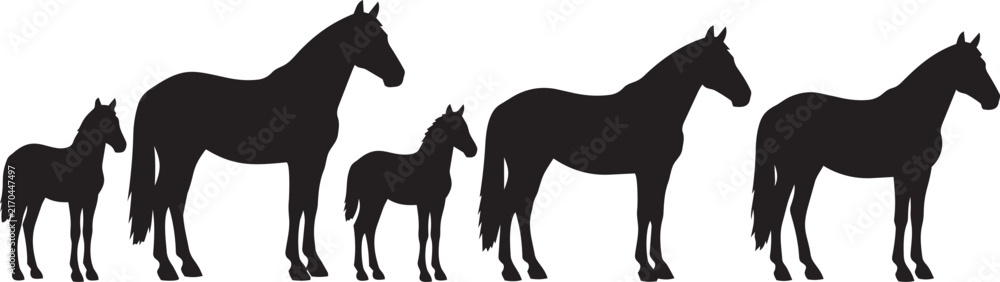 Obraz premium Set of Five Black Horse Silhouettes in Various Sizes for Illustrations, Logos, Branding and Vector Designs