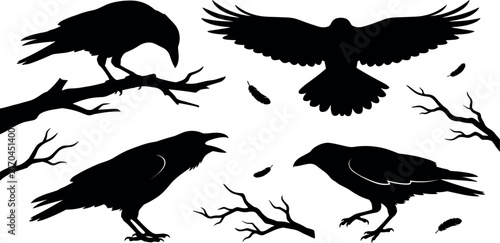 Bild auf Leinwand Black raven silhouettes perch on branches and soar with feathers against a white
