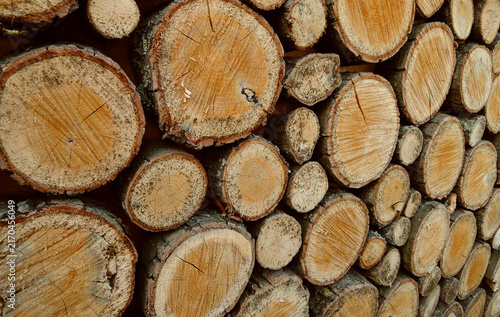 A wall decorated with an original pattern of round wooden slices 
