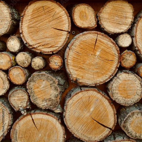 Pine slices on the wall as a decoration in wall decoration in traditional rustic construction
