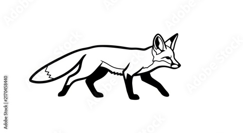 Canvastavla Black and white fox walking side.
