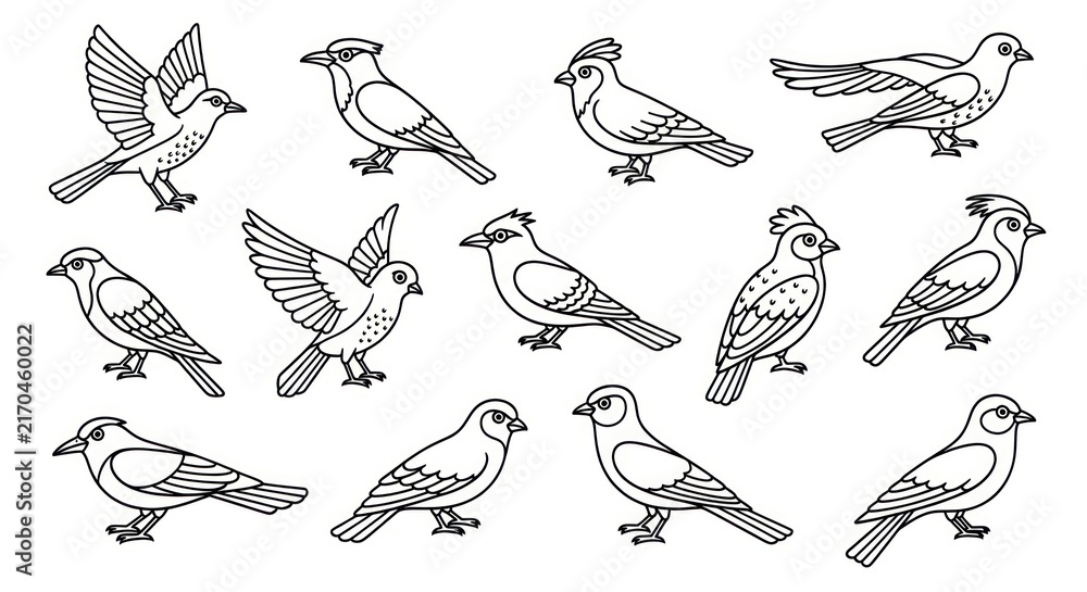 Obraz premium Various Birds in Different Poses.